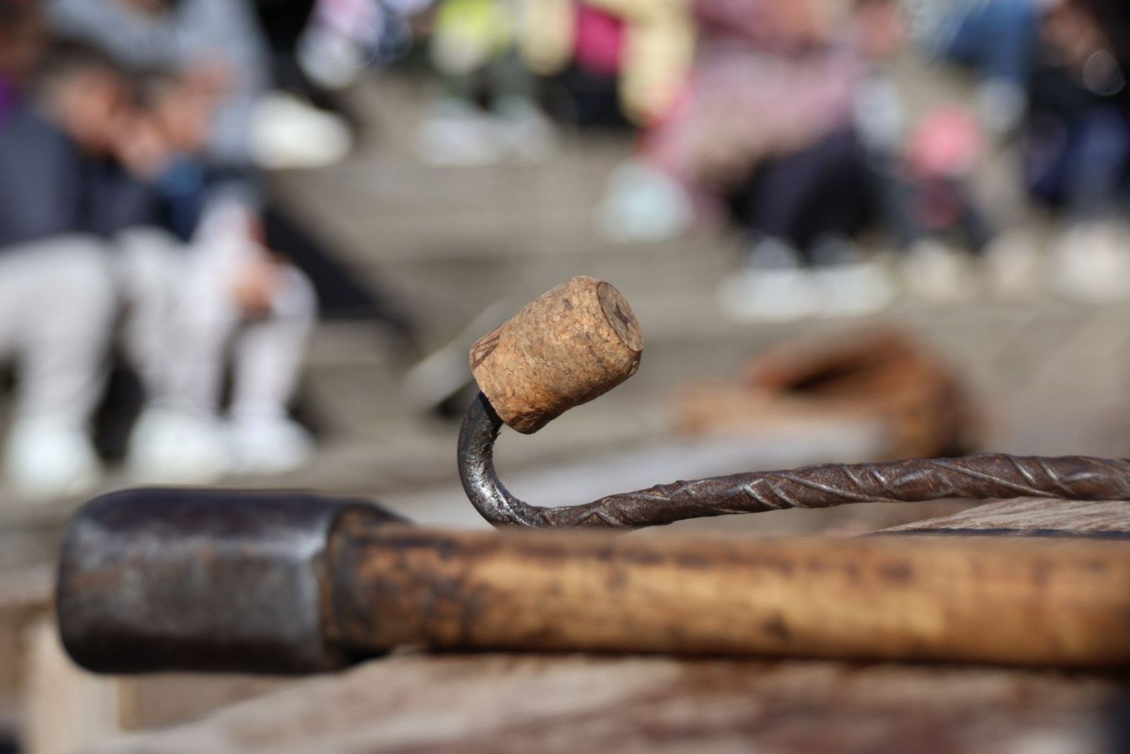 20240203130253-img-4415