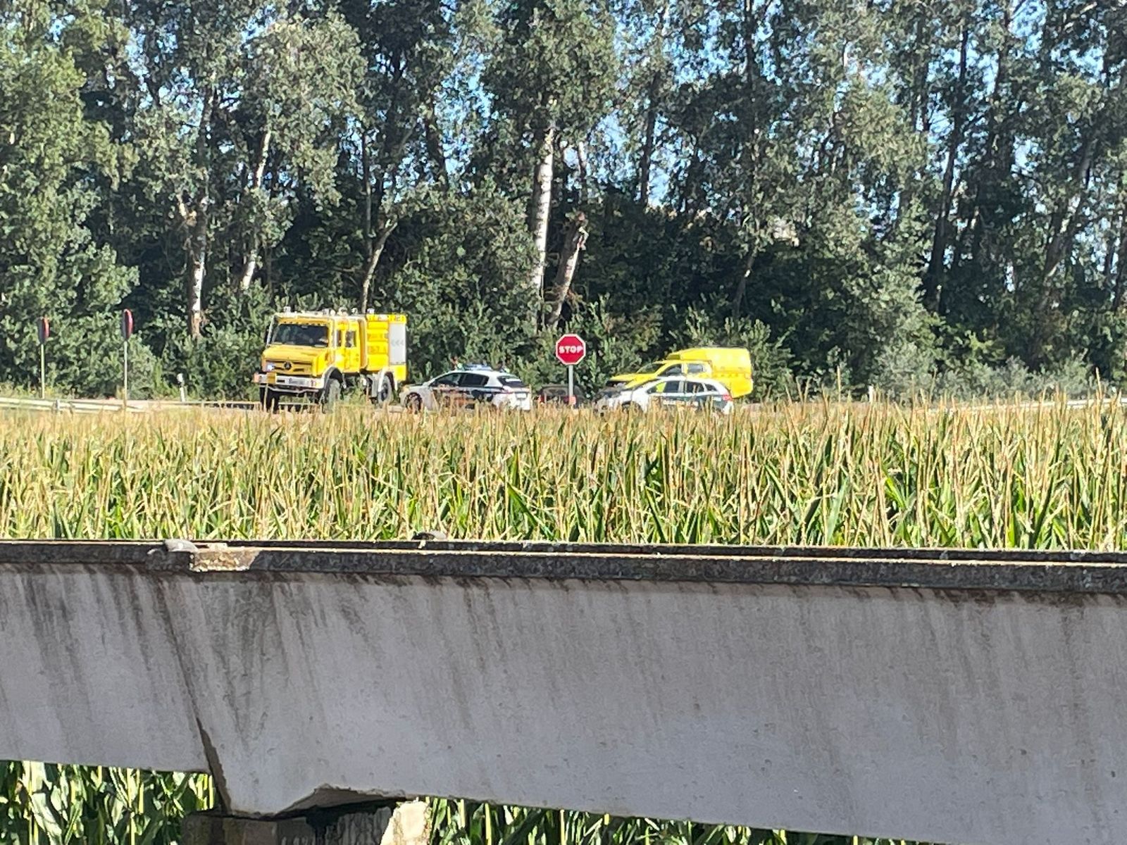GALERÍA | Las llamas amenazan Barcial del Barco
