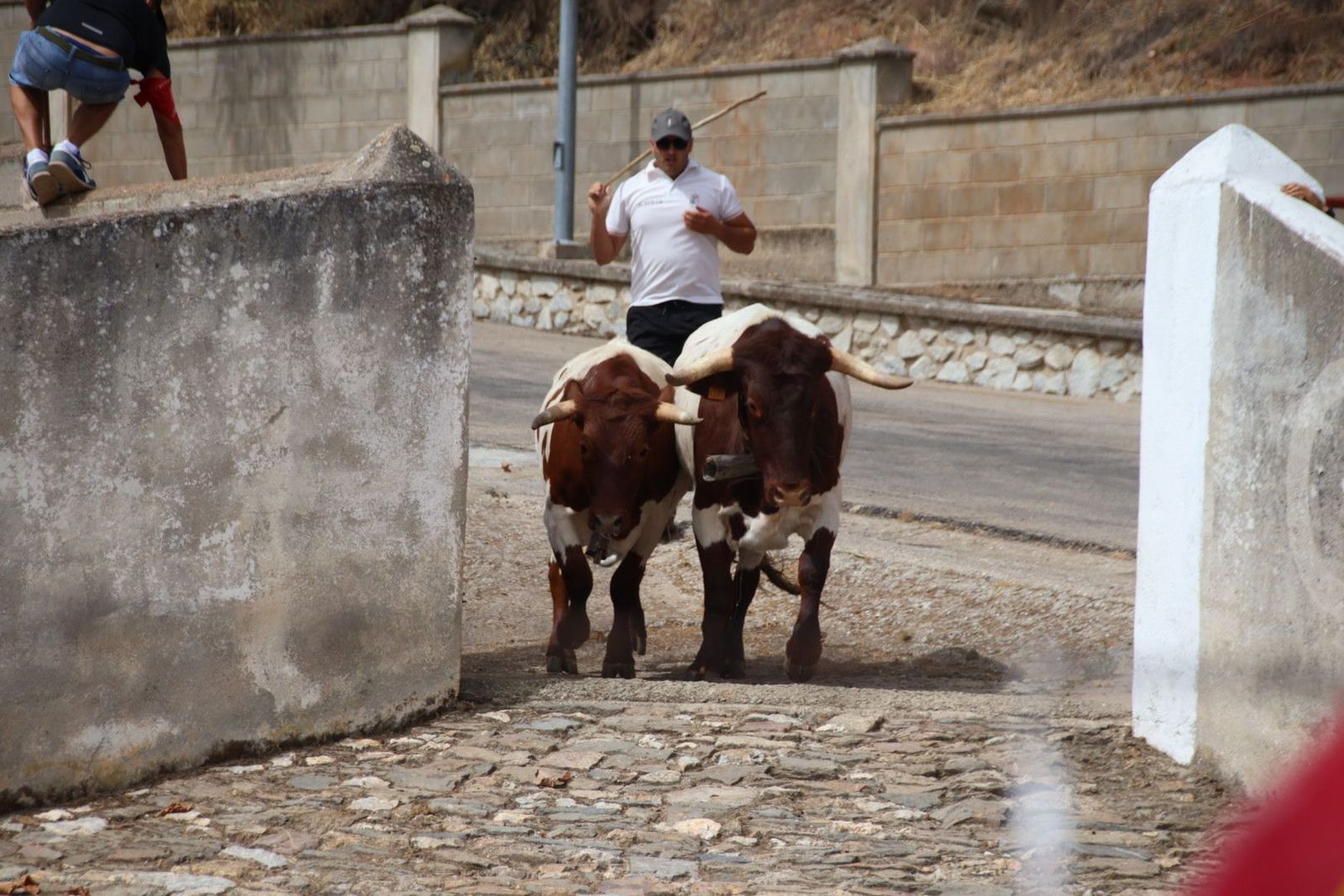 20230809113450-img-9542