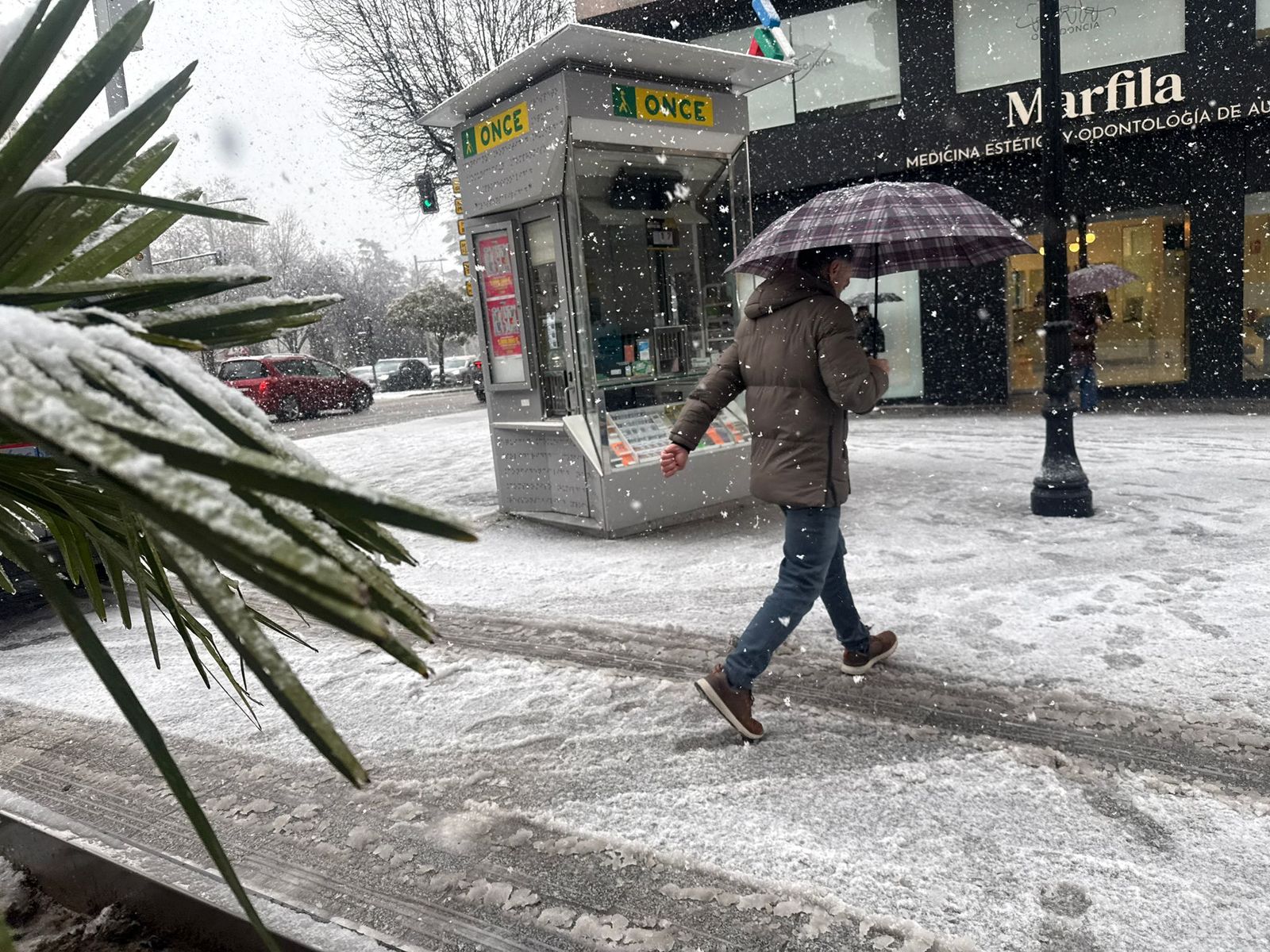 La nieve anega carreteras y tiñe de blanco Salamanca capital y provincia: imágenes de la nevada de este 28 de enero
