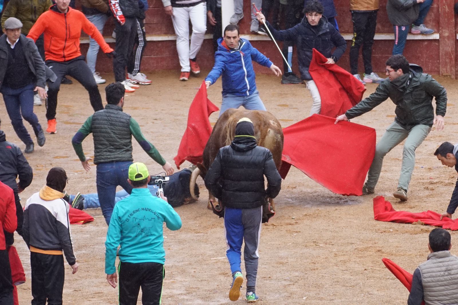 whatsapp-image-2024-02-11-at-14-02-45