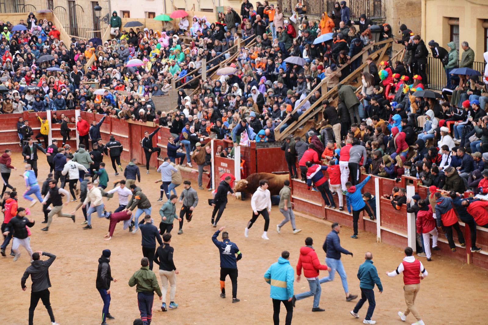 ambiente-durante-el-encierro-urbano-de-ciudad-rodrigo-sabado-10-de-febrero-fotos-s24h-96
