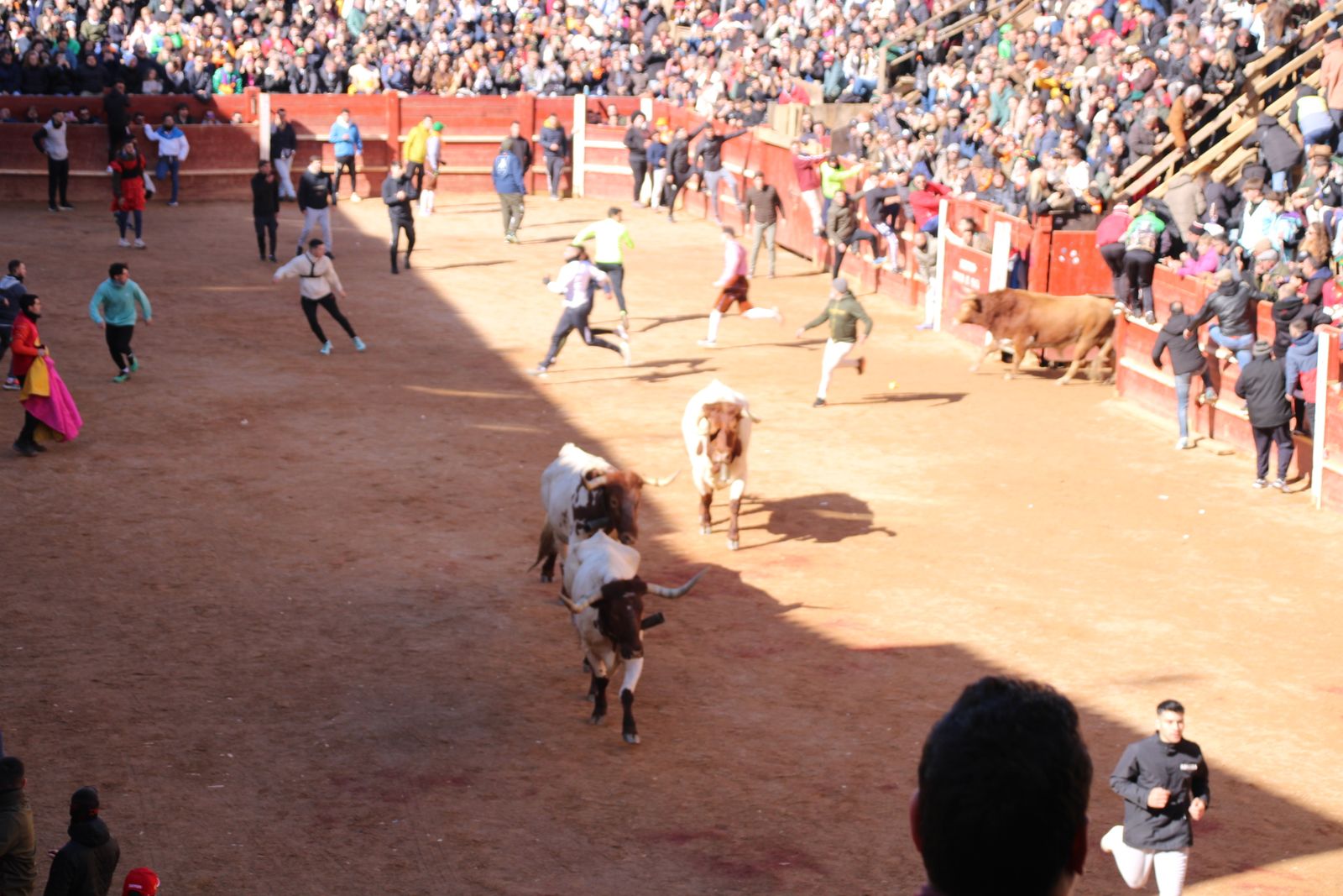 Encierro de sábado en el Carnaval del toro 2026 de Ciudad Rodrigo