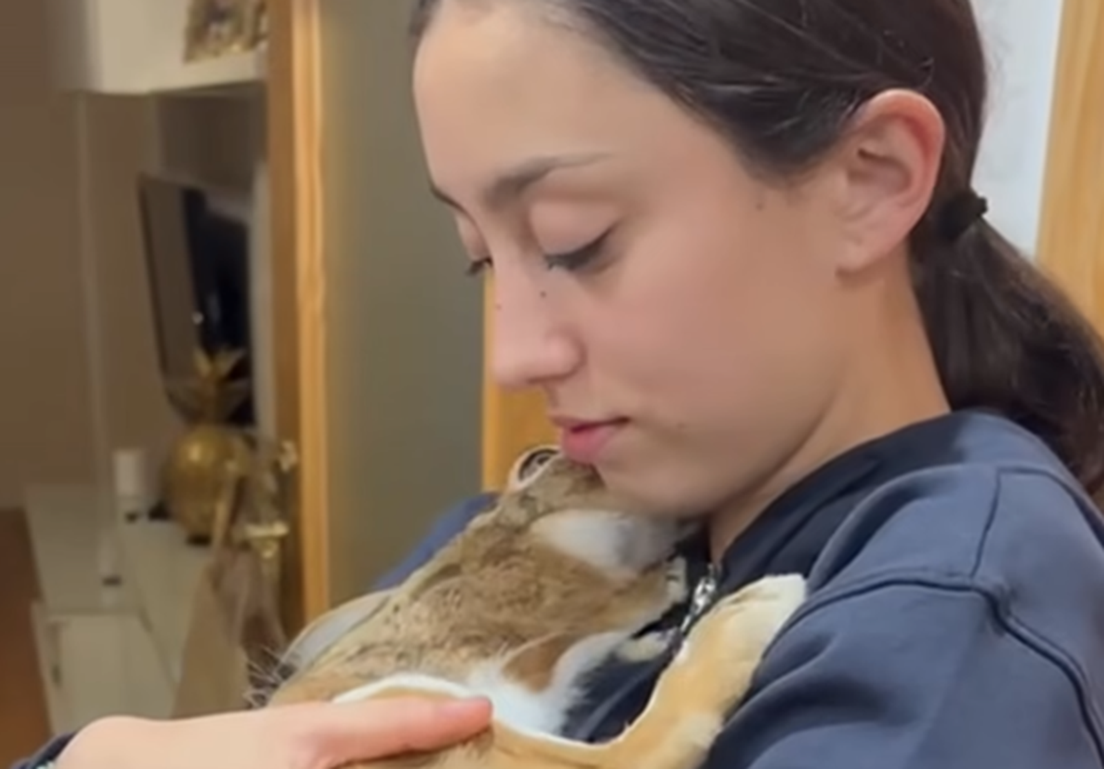 Reacción de la liebre al reconocer a su dueña