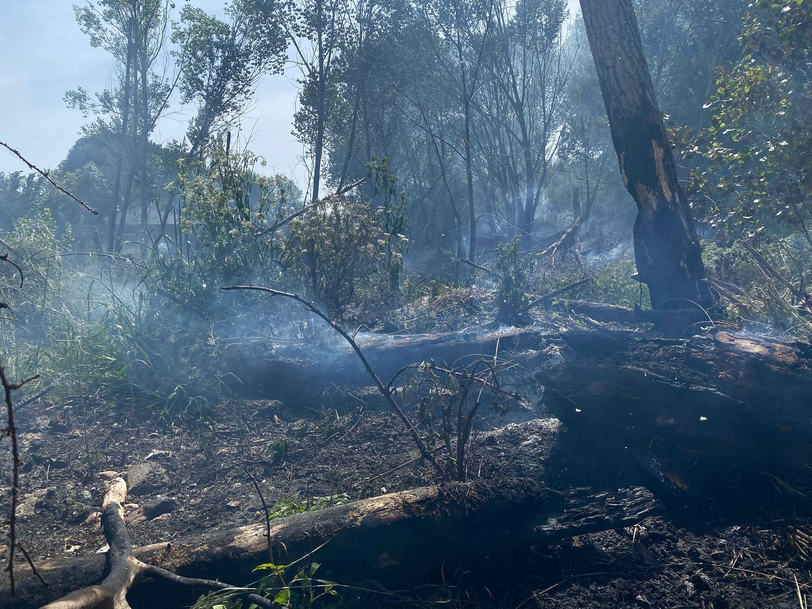 Los bomberos sofocan un incendio entre el puente del Pradillo y La Fontana
