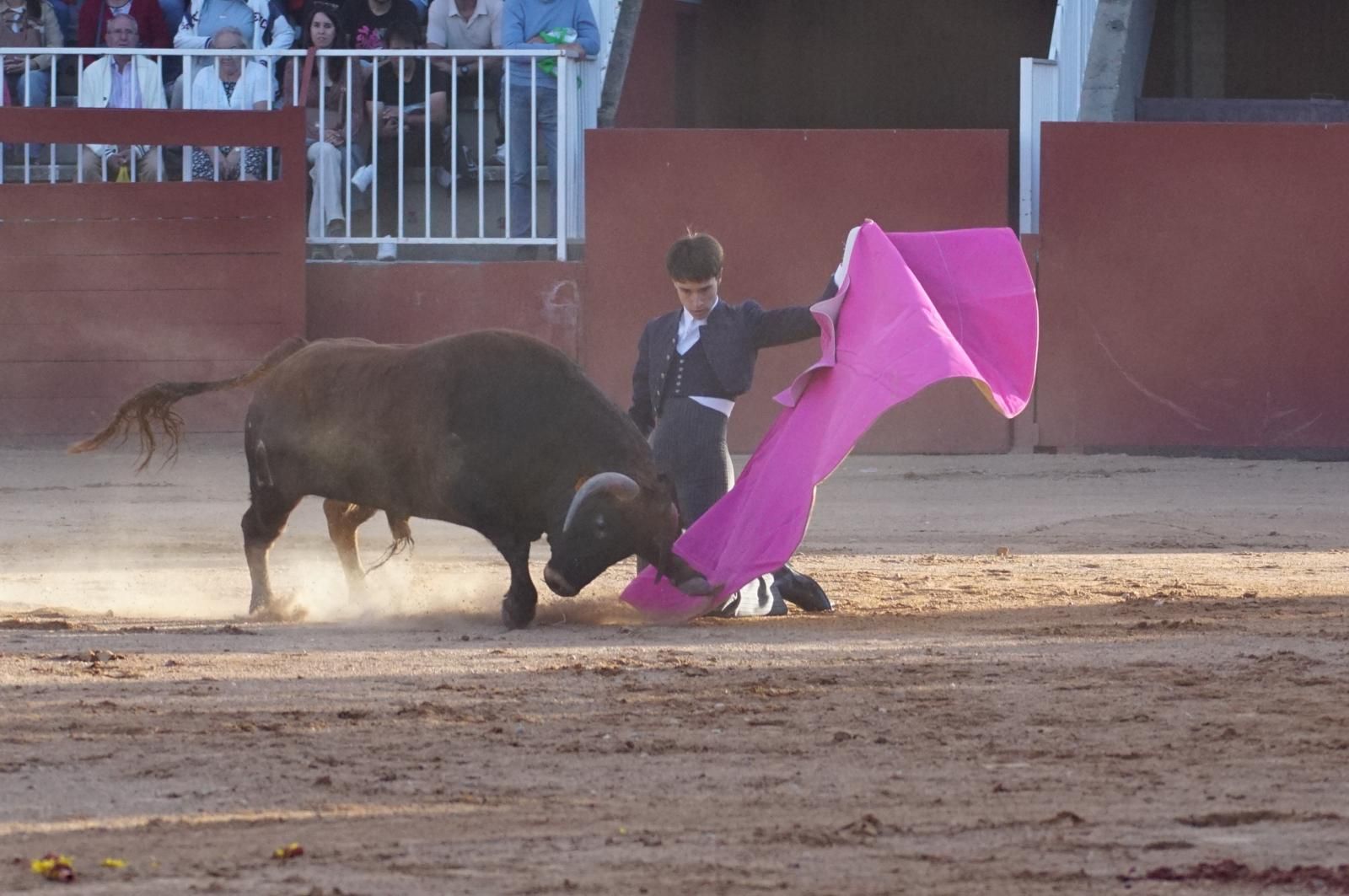 whatsapp-image-2024-09-07-at-20-49-10-7