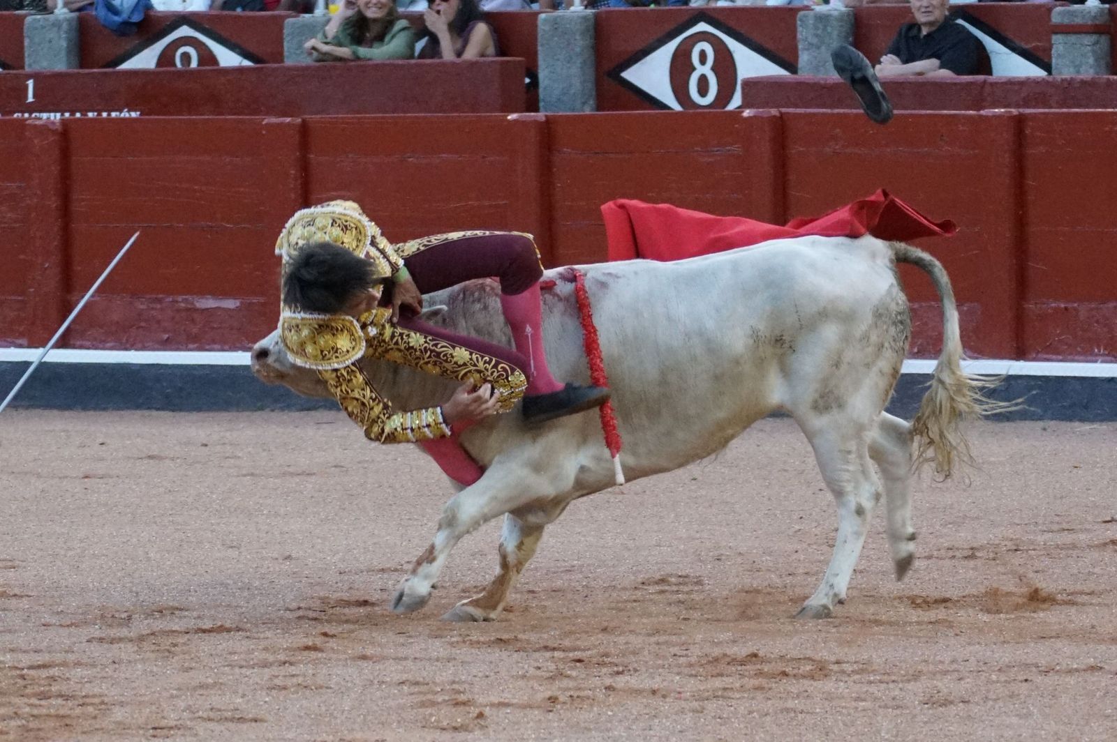 Clase práctica con alumnos de la Escuela de Tauromaquia de Salamanca (Diego Mateos, Noel García y Álvaro Rojo con erales de Esteban Isidro)