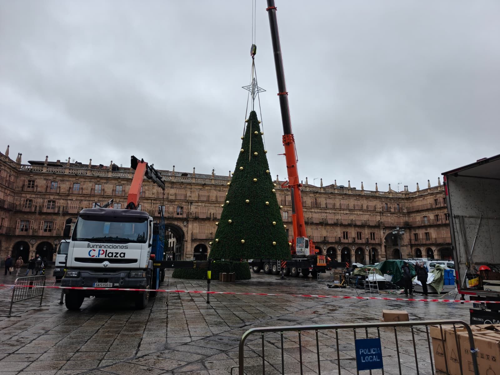 Desmontaje del árbol de la Navidad