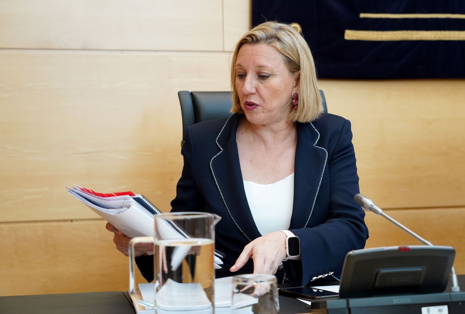 Isabel Blanco, vicepresidenta de la Junta -ICAL