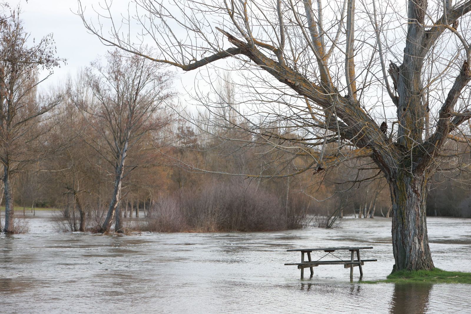 Río Tera desbordado a su paso por Mozar de Valverde