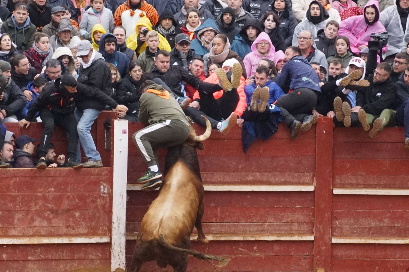 whatsapp-image-2025-03-03-at-14-50-33-2