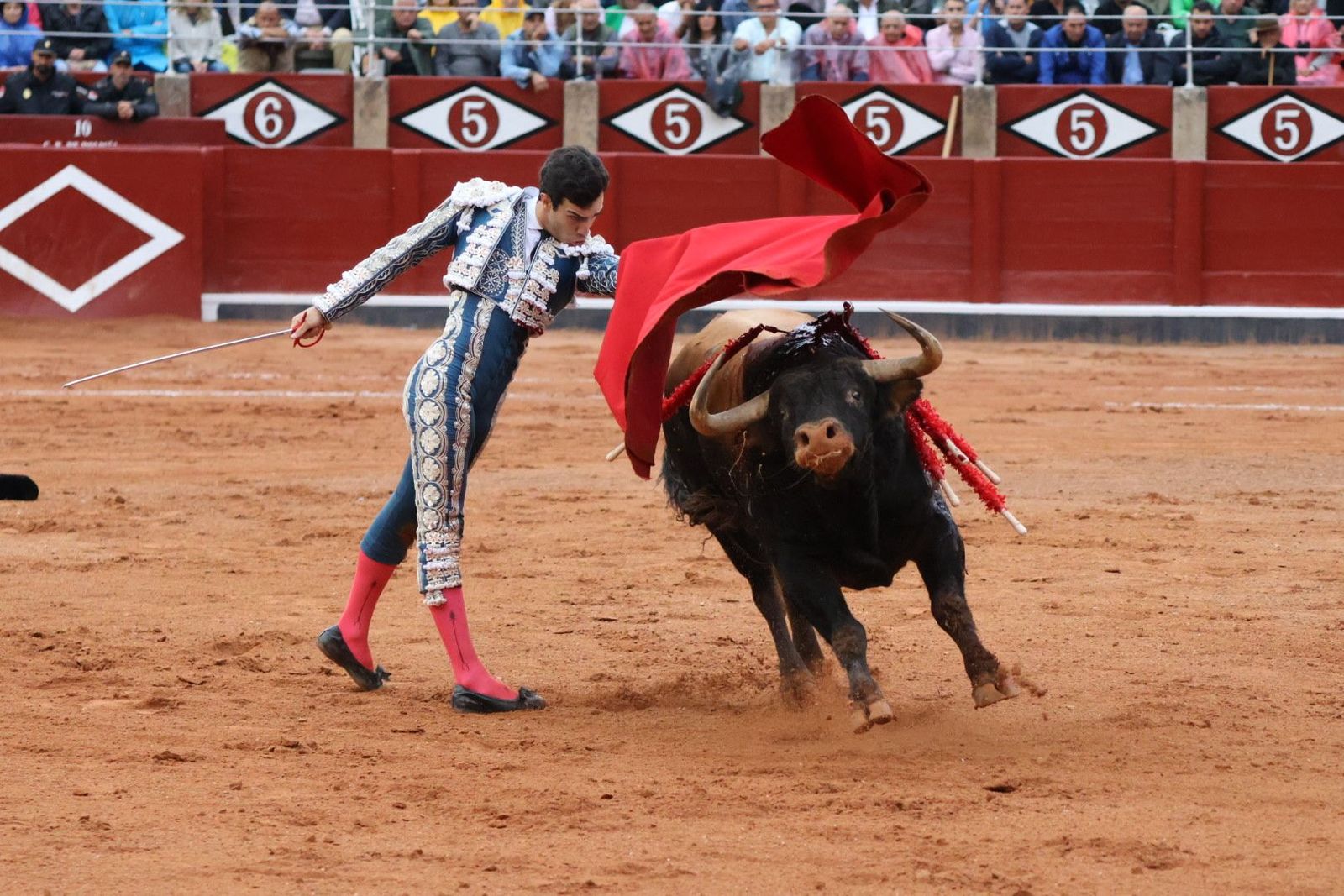 20230916190815-img-5667