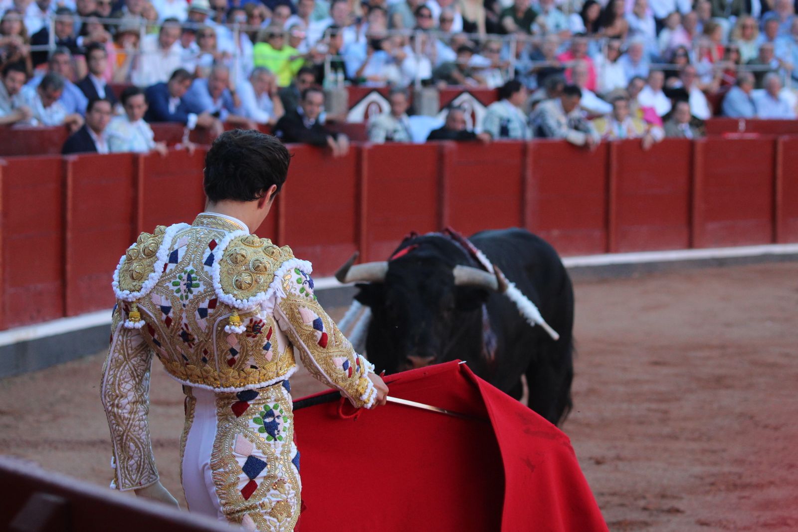 Emilio de Justo, Juan Ortega y Roca Rey inauguran el cartel de figuras en la feria de Salamanca: la corrida de Garcigrande en imágenes