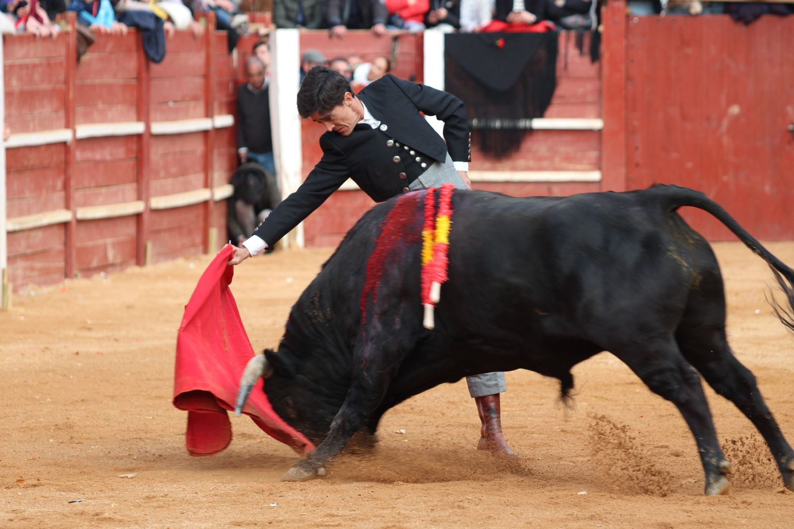 Chaves, El Capea y Pérez Pinto abren la Puerta Grande en el primer festival del Carnaval de Ciudad Rodrigo de 2023
