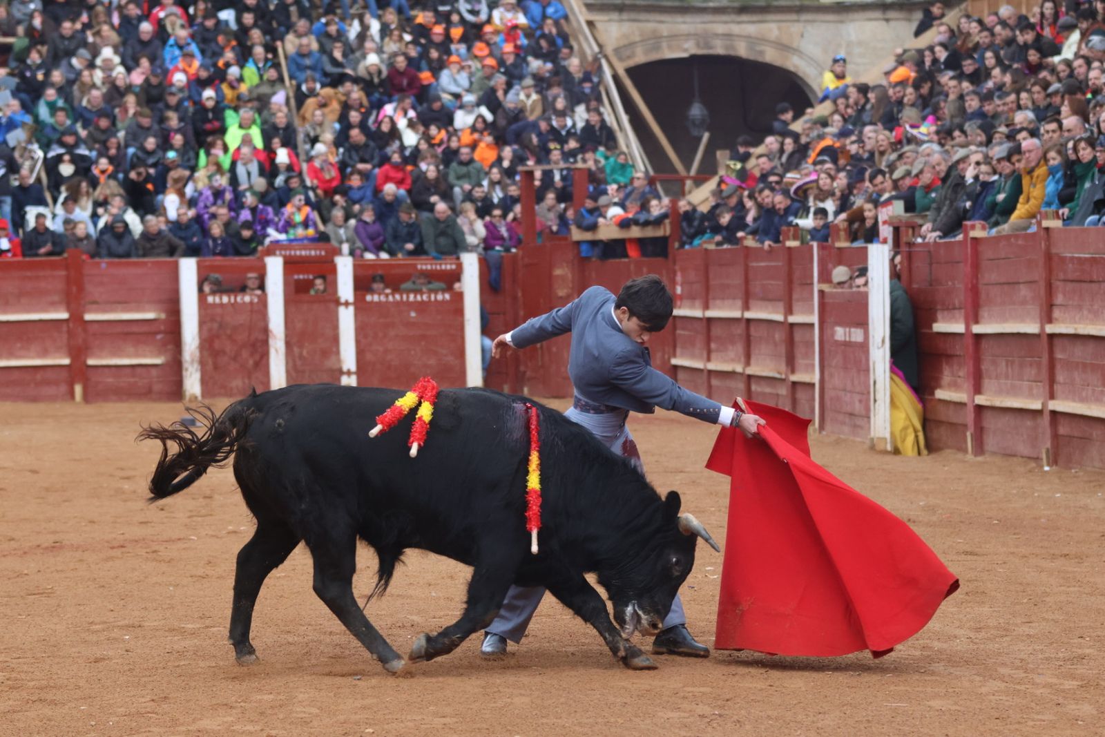 Novillada sin picadores del bolsín taurino y rejones en Ciudad Rodrigo