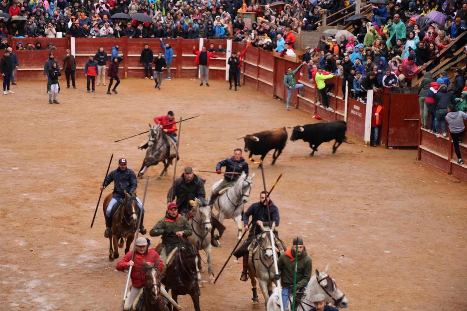 whatsapp-image-2024-02-11-at-11-41-49-13