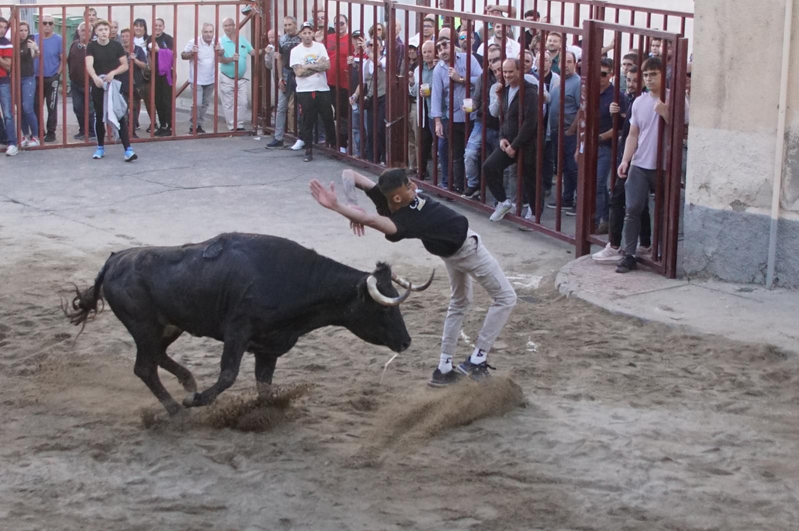 Toro del cajón y capea en Alba de Tormes