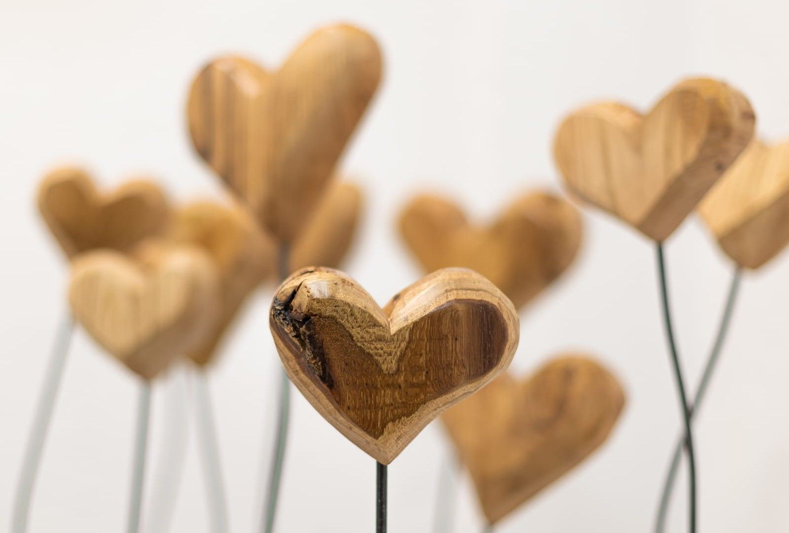 Exposición 'Bosque de corazones' del artista Ángel Martín