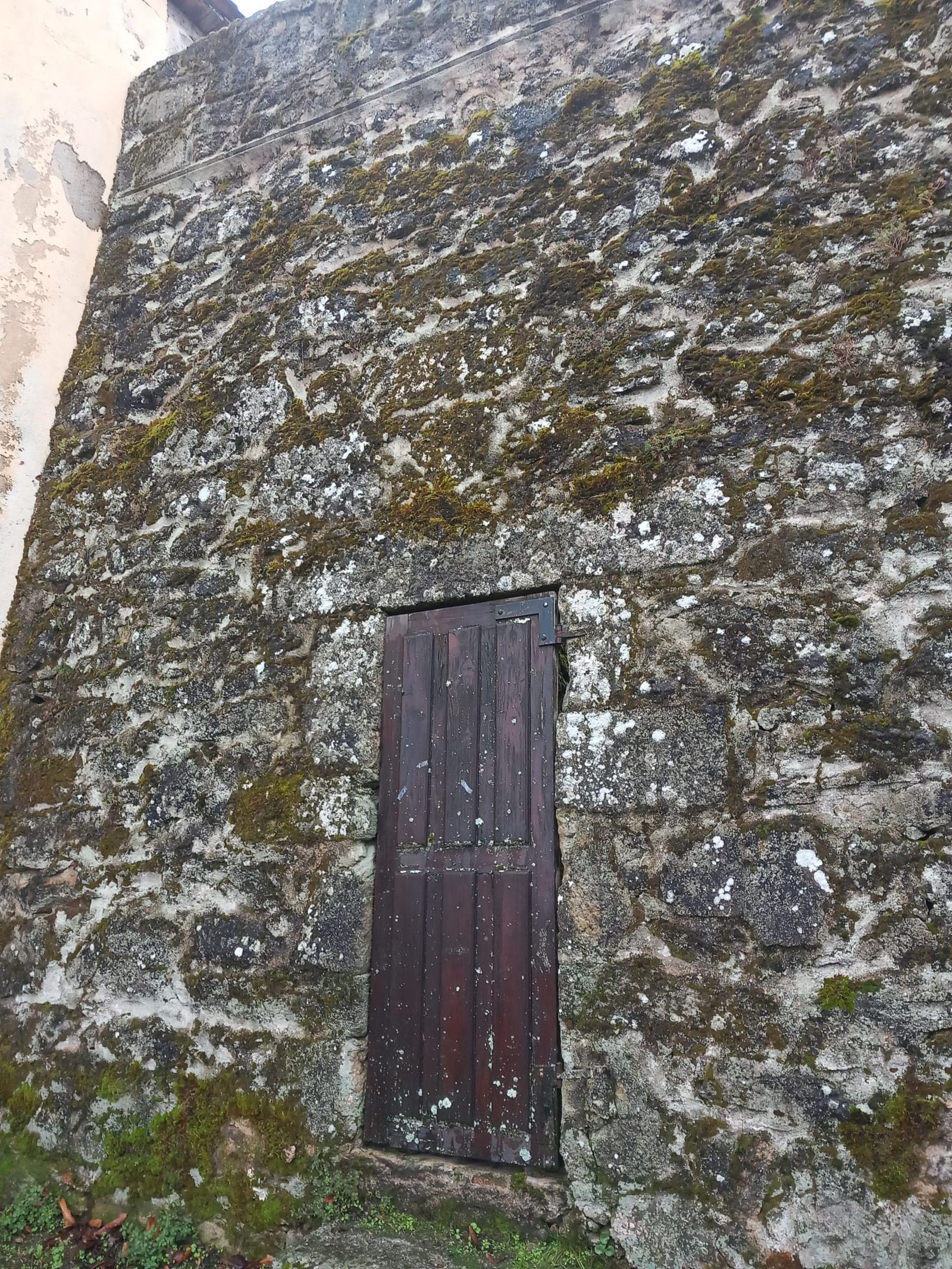 Plaza de Toros La Ancianita de Béjar  (1).jpeg