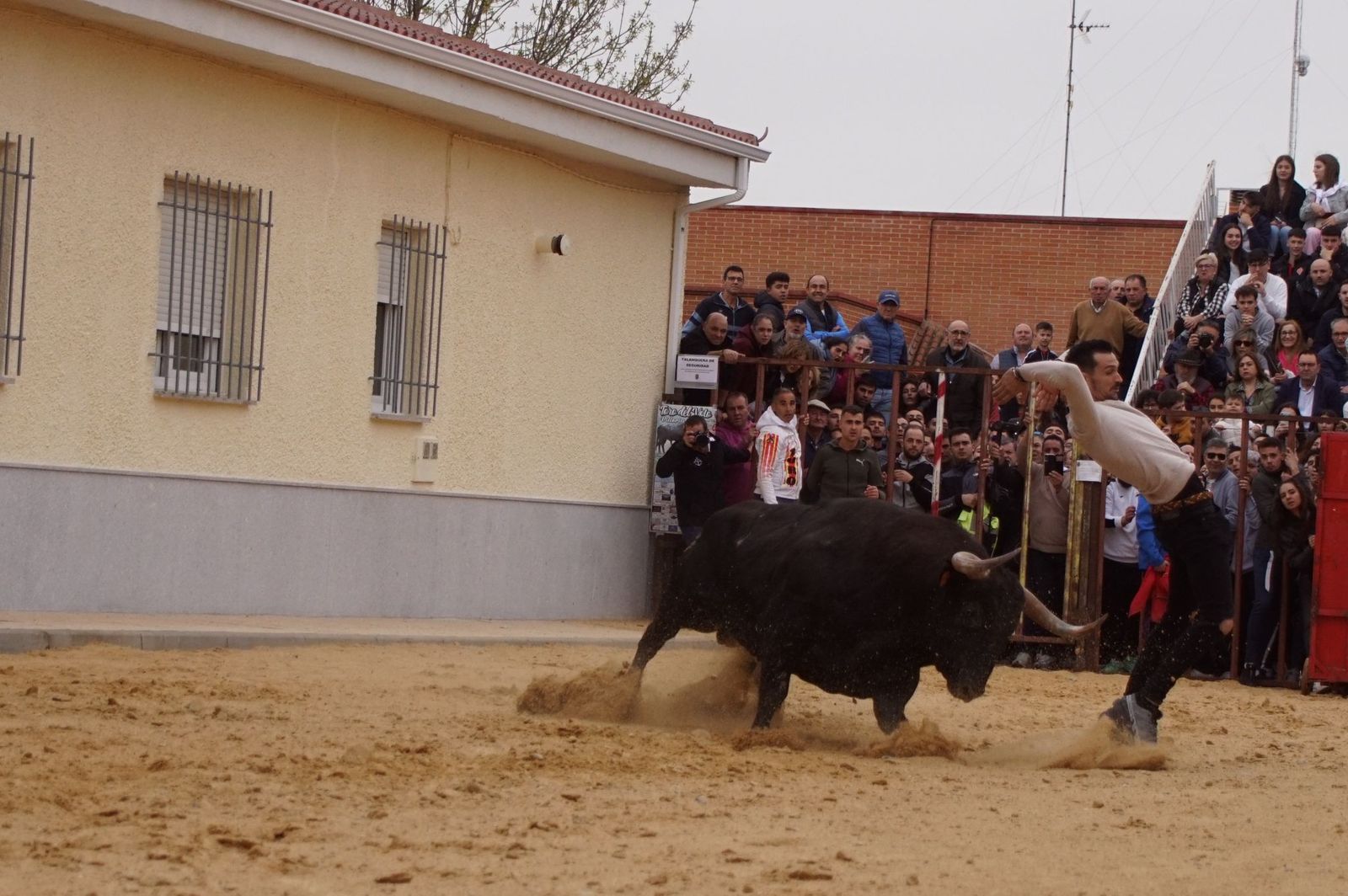 ambiente-y-participacion-durante-el-toro-del-voto-en-villoria-suelta-de-dos-toros-del-cajon-foto-juanes-28