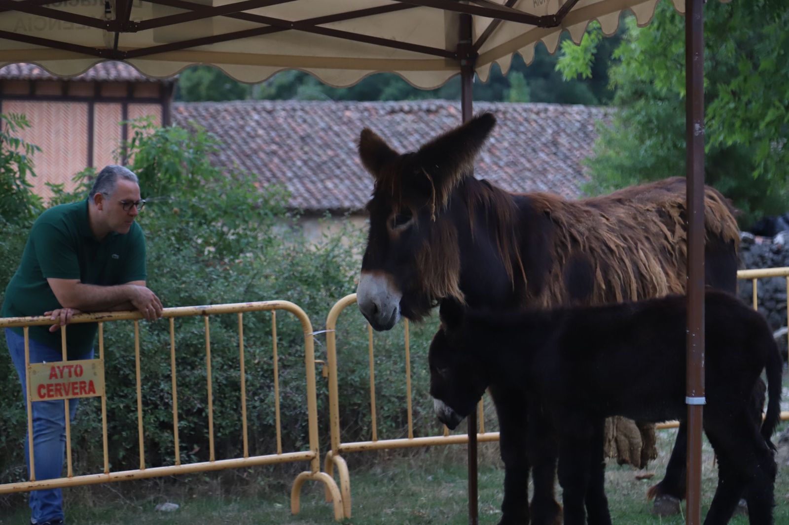 zamora-en-naturcyl-2