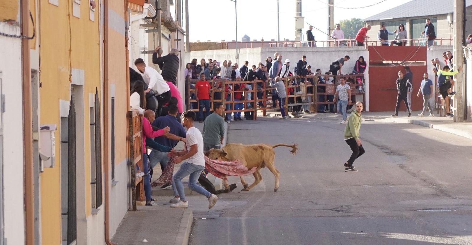 whatsapp-image-2024-09-08-at-14-04-55-3