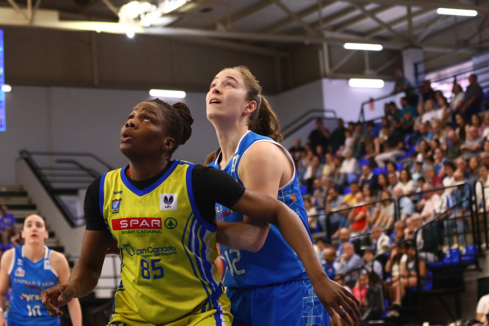 Perfumerías Avenida - Gran Canaria