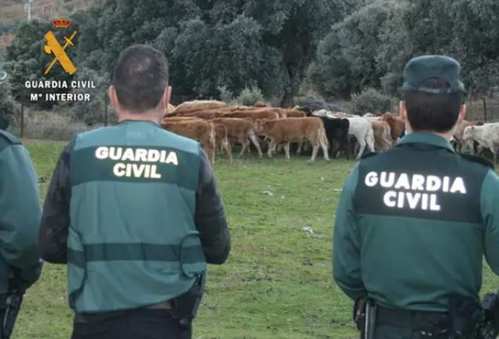 GUARDIA CIVIL