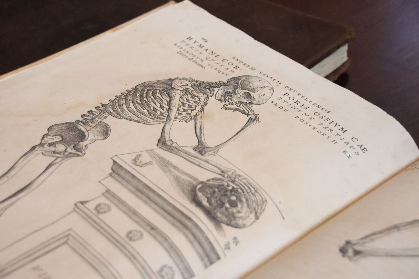 20231005113816-img-1358