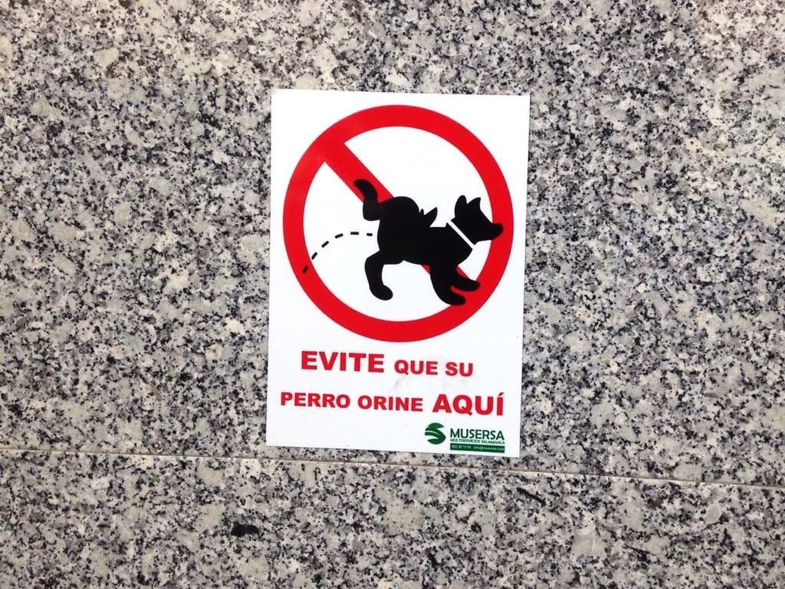 C15f68de 5ed6 42bb 8895 038a3baf8602