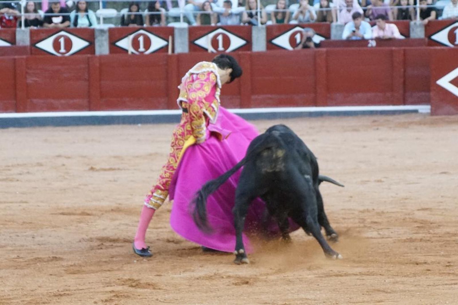 whatsapp-image-2023-09-08-at-21-25-05