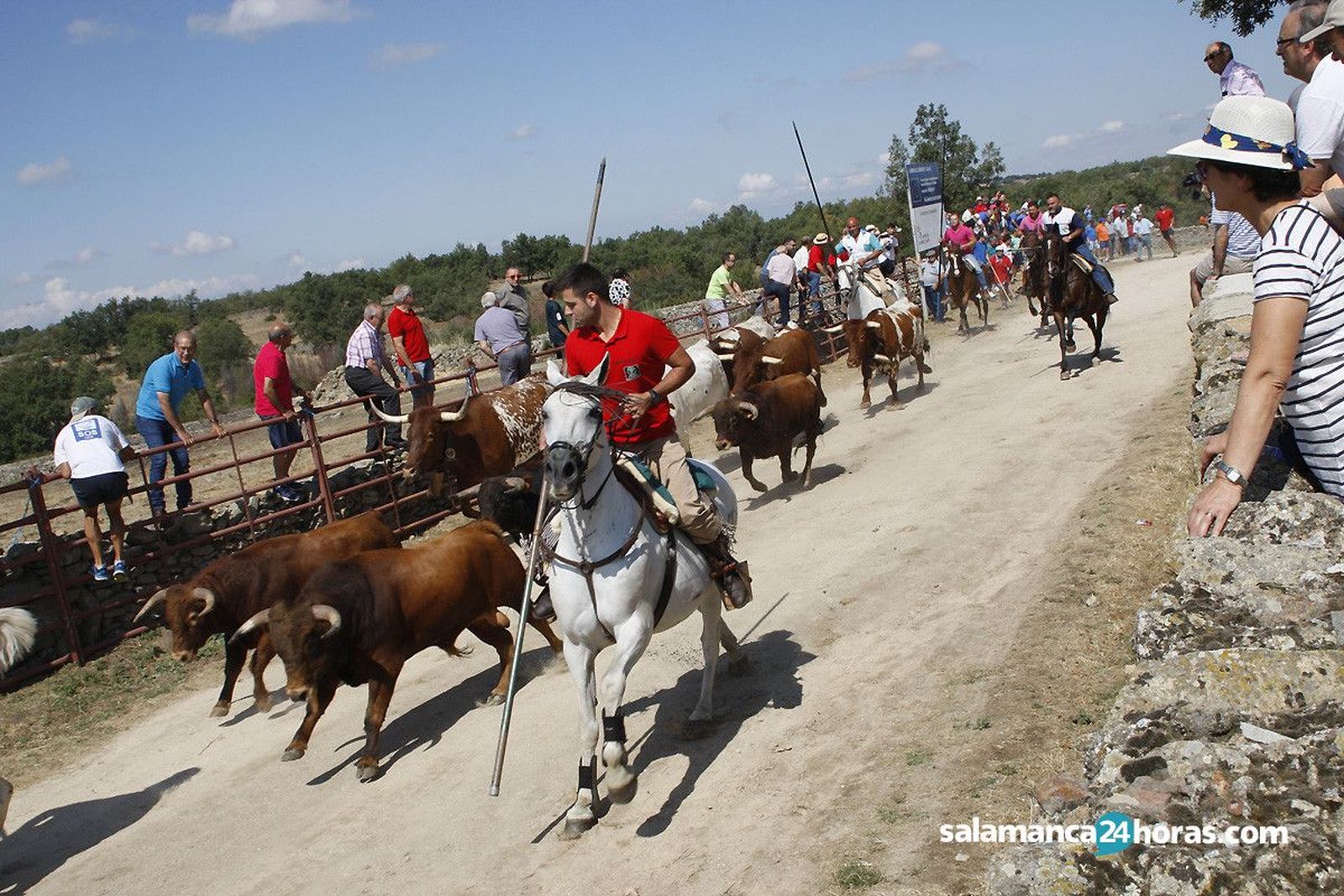 Encierro a caballo en lumbrales (32)