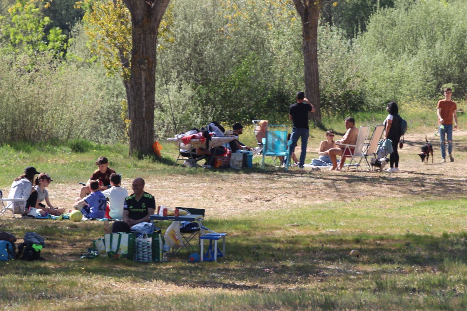 20230417175643-img-4498