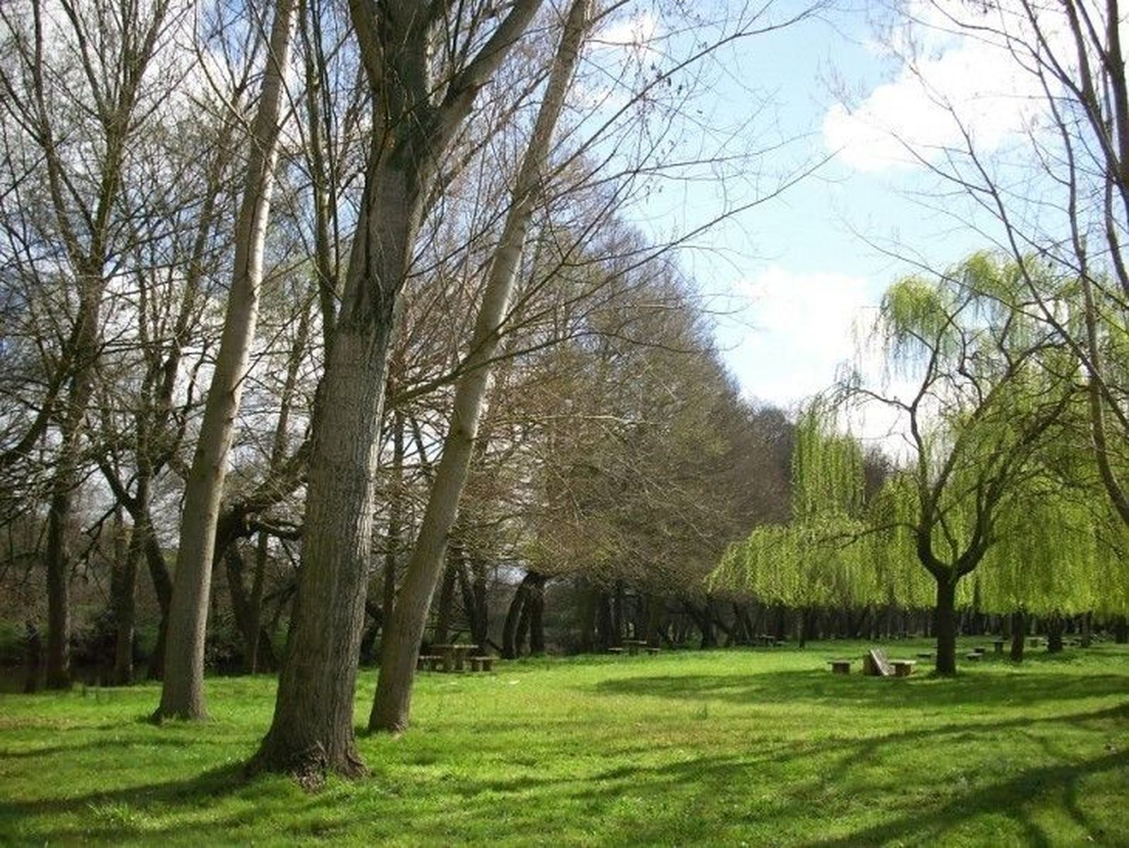El Ayuntamiento celebra el Día del Árbol mañana en la zona de El Picón
