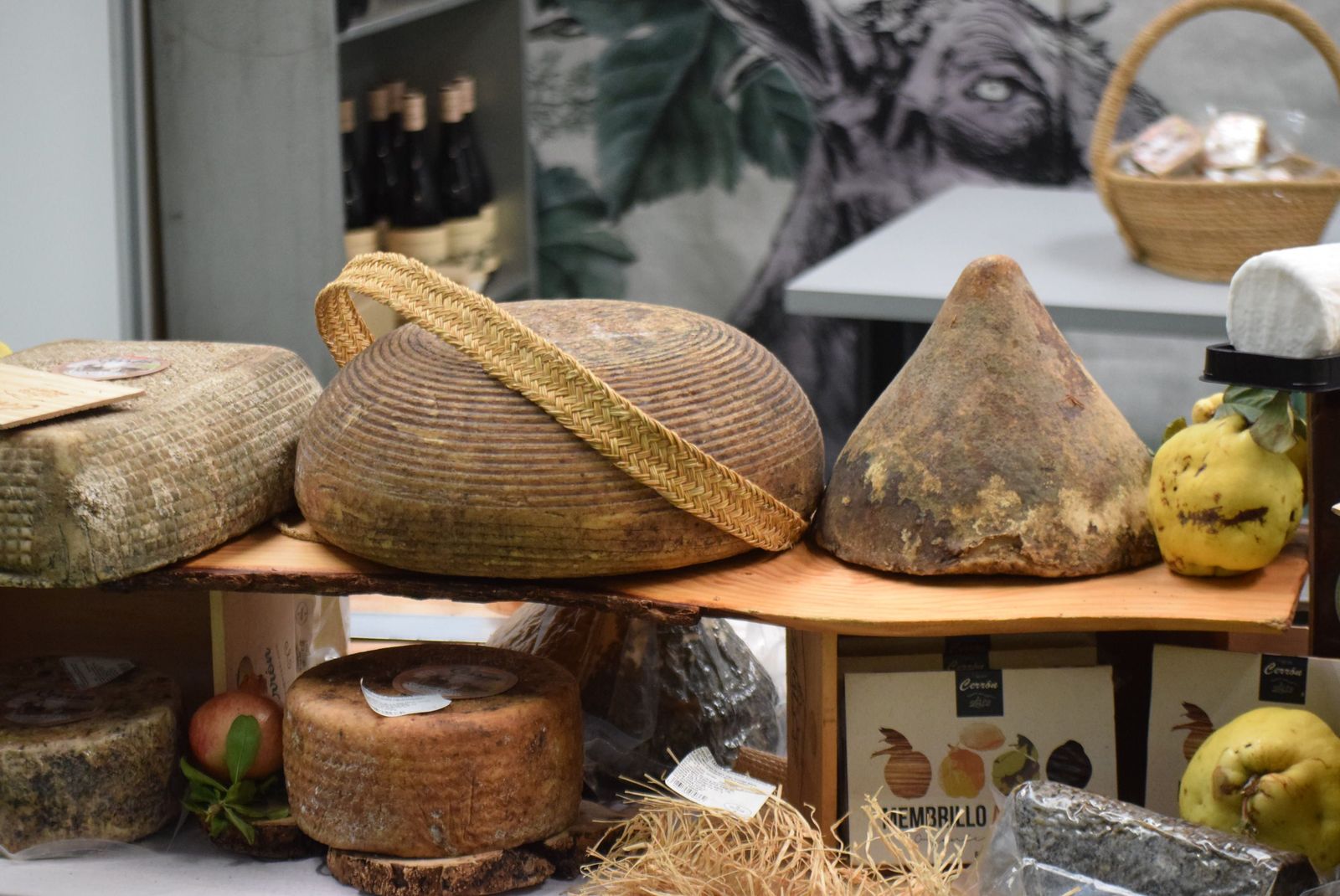 feria-de-ecocultura-2024-84