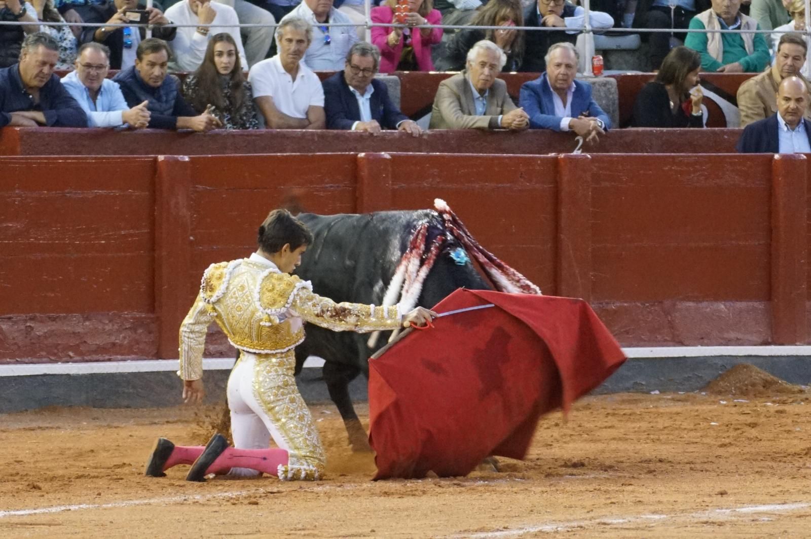 corrida-concurso-momentos-mas-destacados-del-ultimo-festejo-de-abono-de-la-feria-taurina-virgen-de-la-vega-2024-fotos-carlos-h-g-y-juanes-20