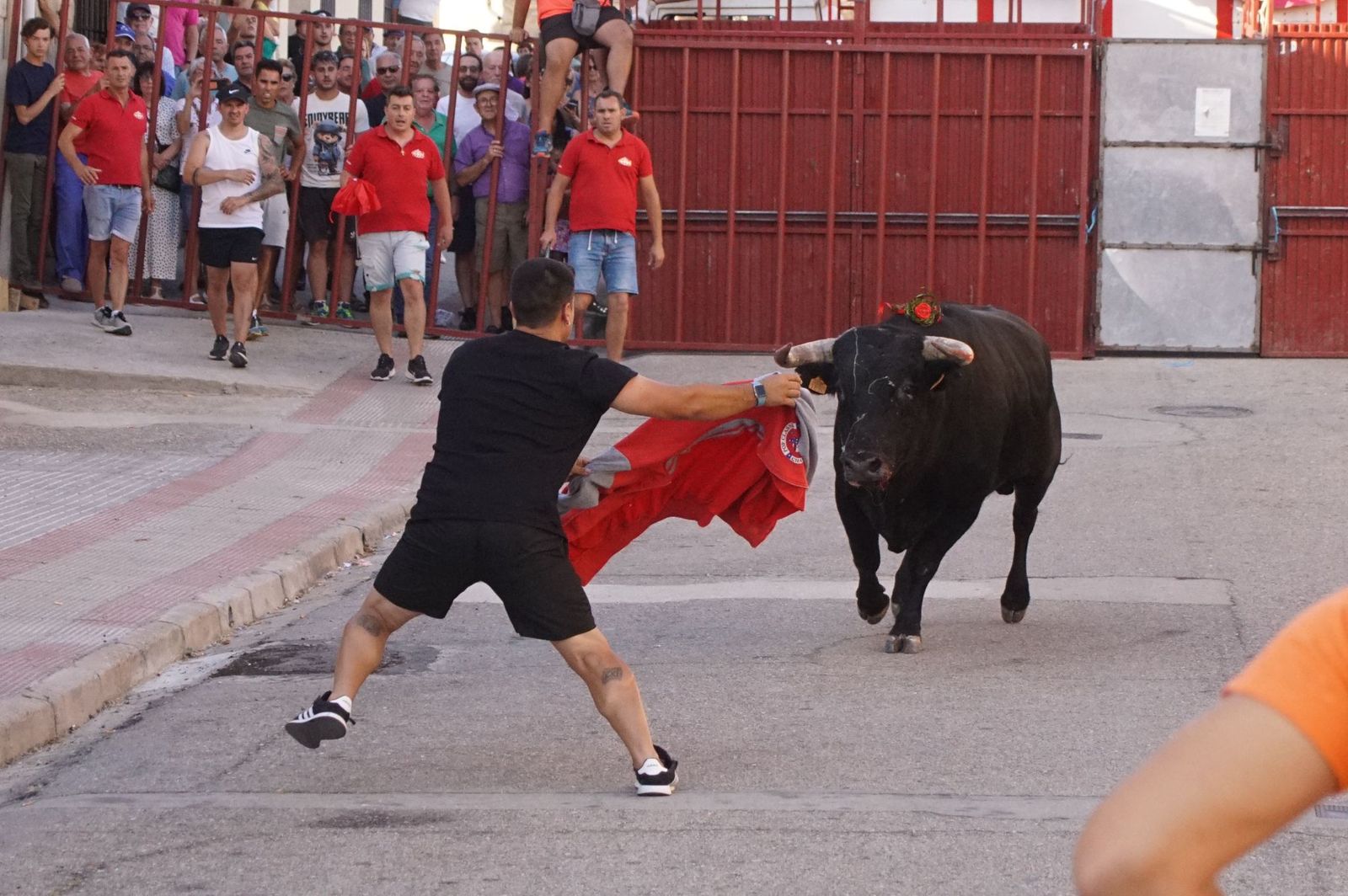 whatsapp-image-2024-08-04-at-21-09-55