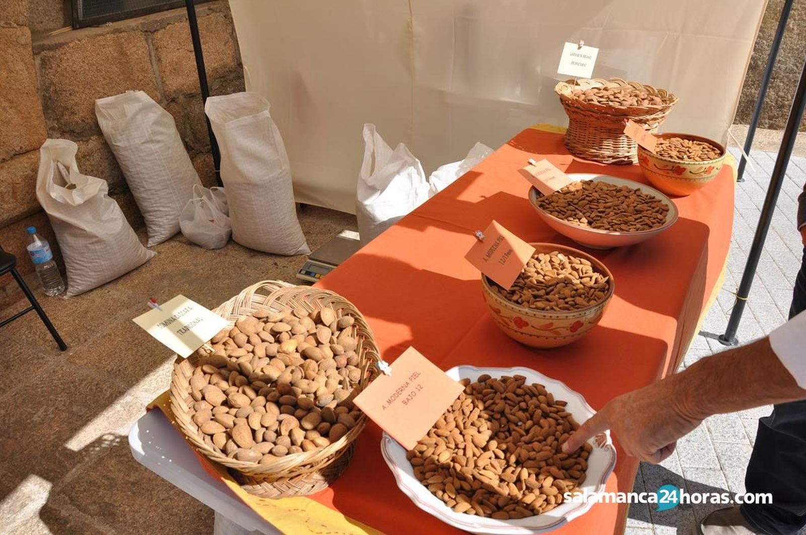 Saucelle Feria Almendra (75)