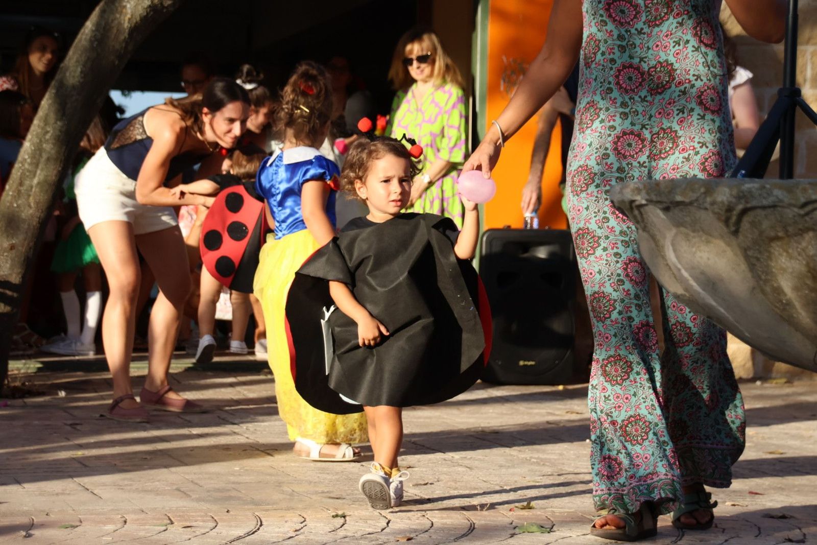 20230824185349-img-4428