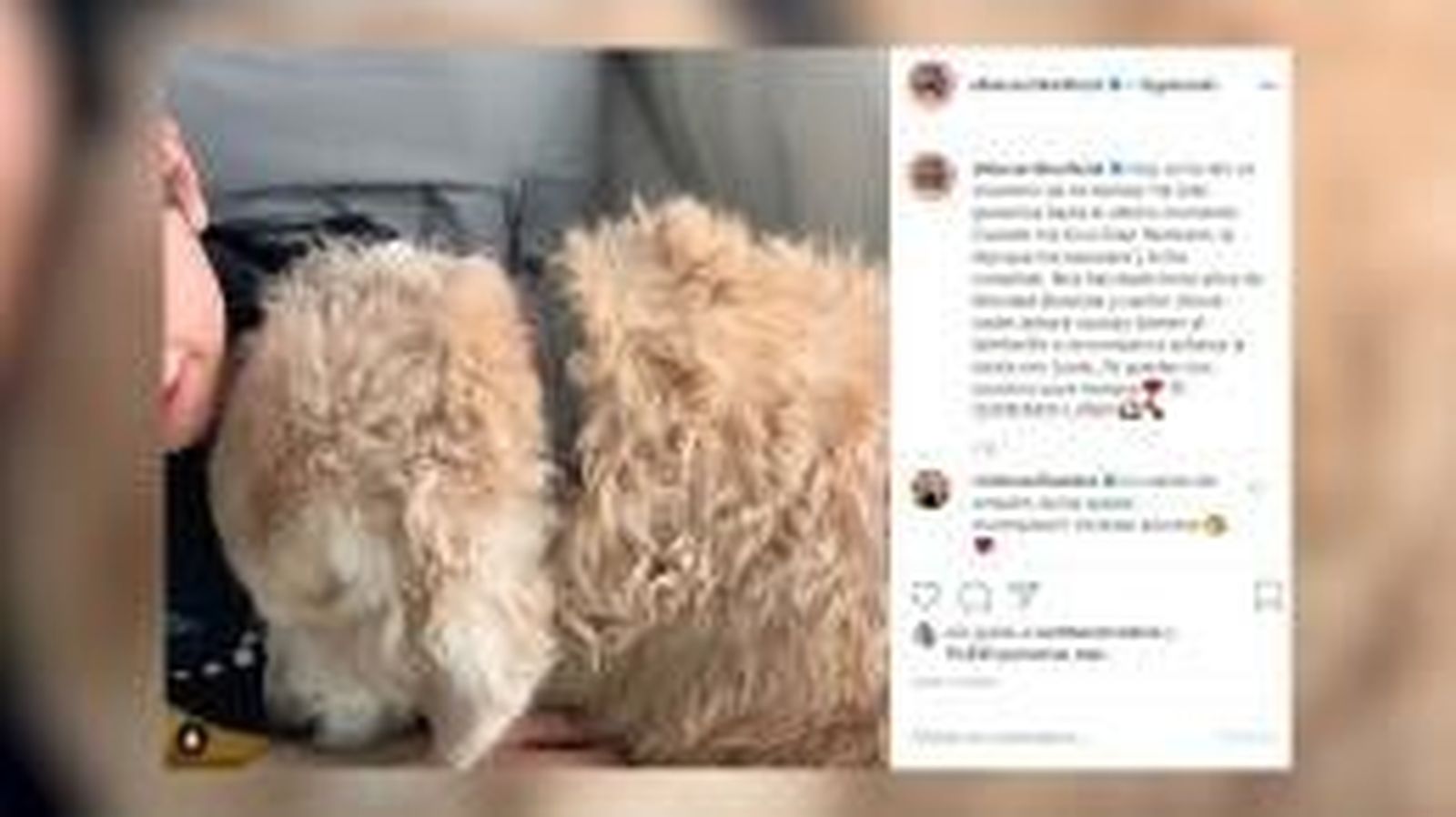 Fotoarchivovideo 467342 1 1 wd260