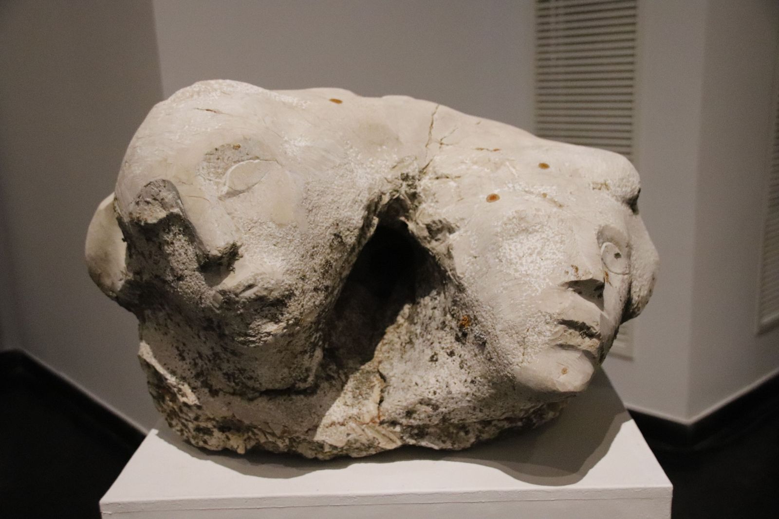 20220923102746-mg-0801