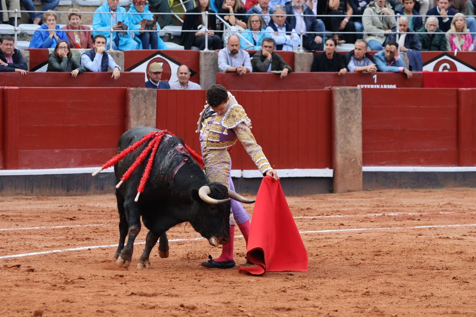 20230915183141-img-4161