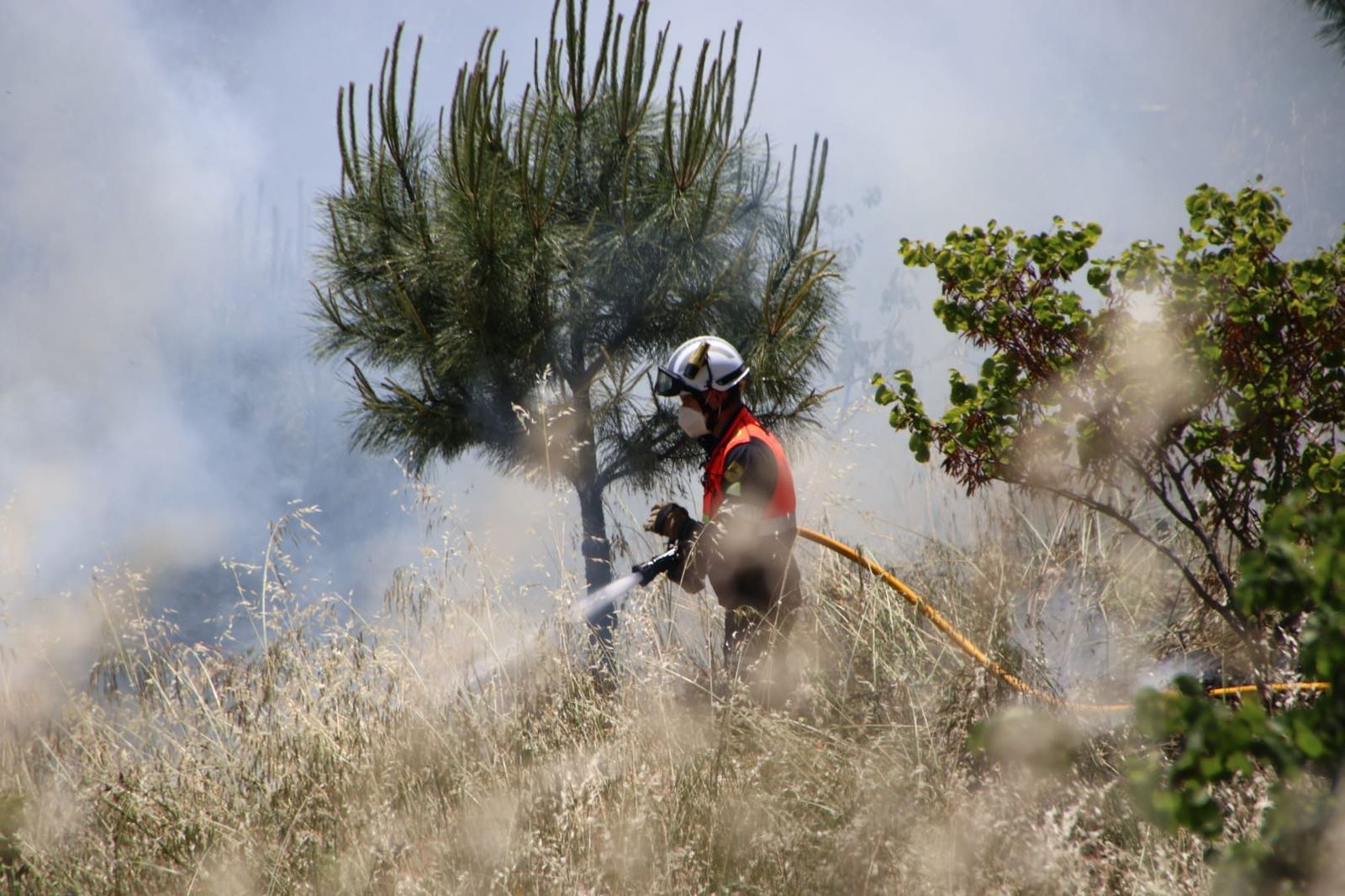 Incendio de pasto en los entornos de la avenida de La Aldehuela