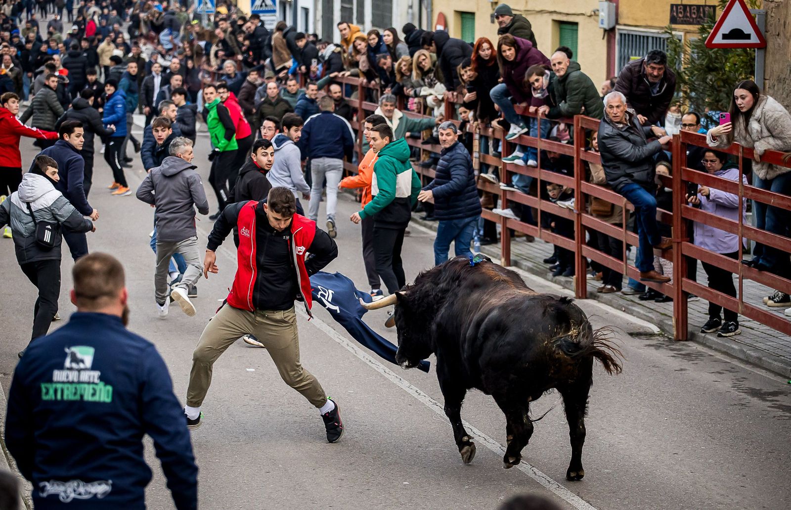 Gran expectación con el Toro de San Sebastián de Ciudad Rodrigo