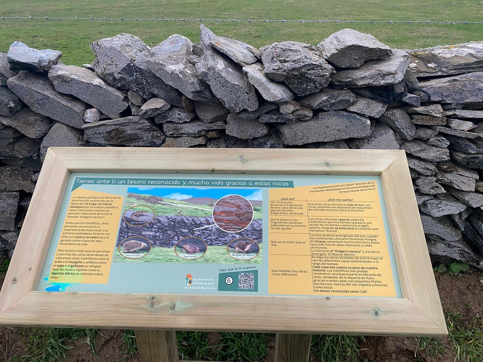 f582978f-67ed-45ce-80ec-939f83c909f2