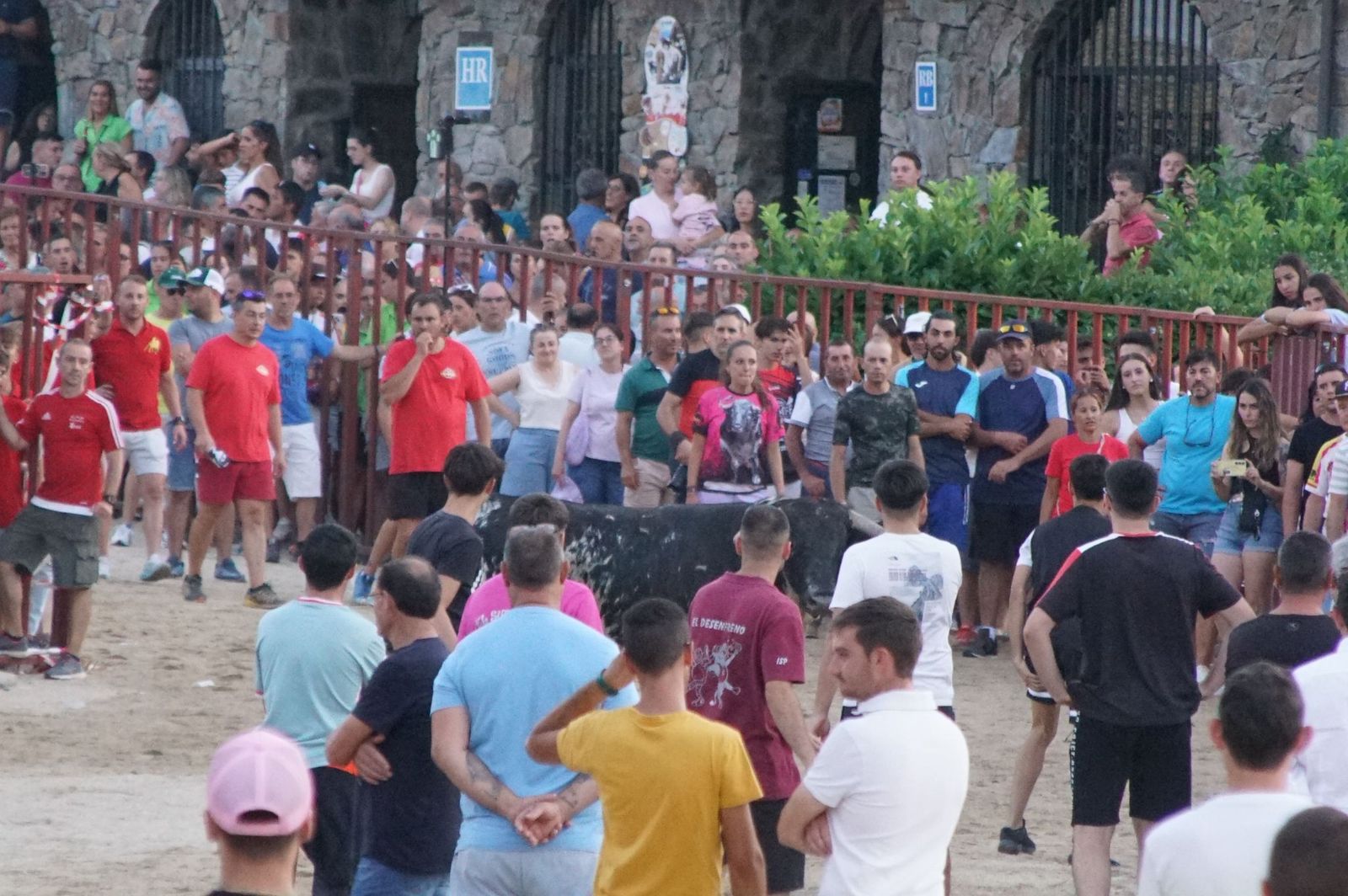 Pasión, tradición y calle: así se ha vivido en Ledesma el II Toro de Cajón