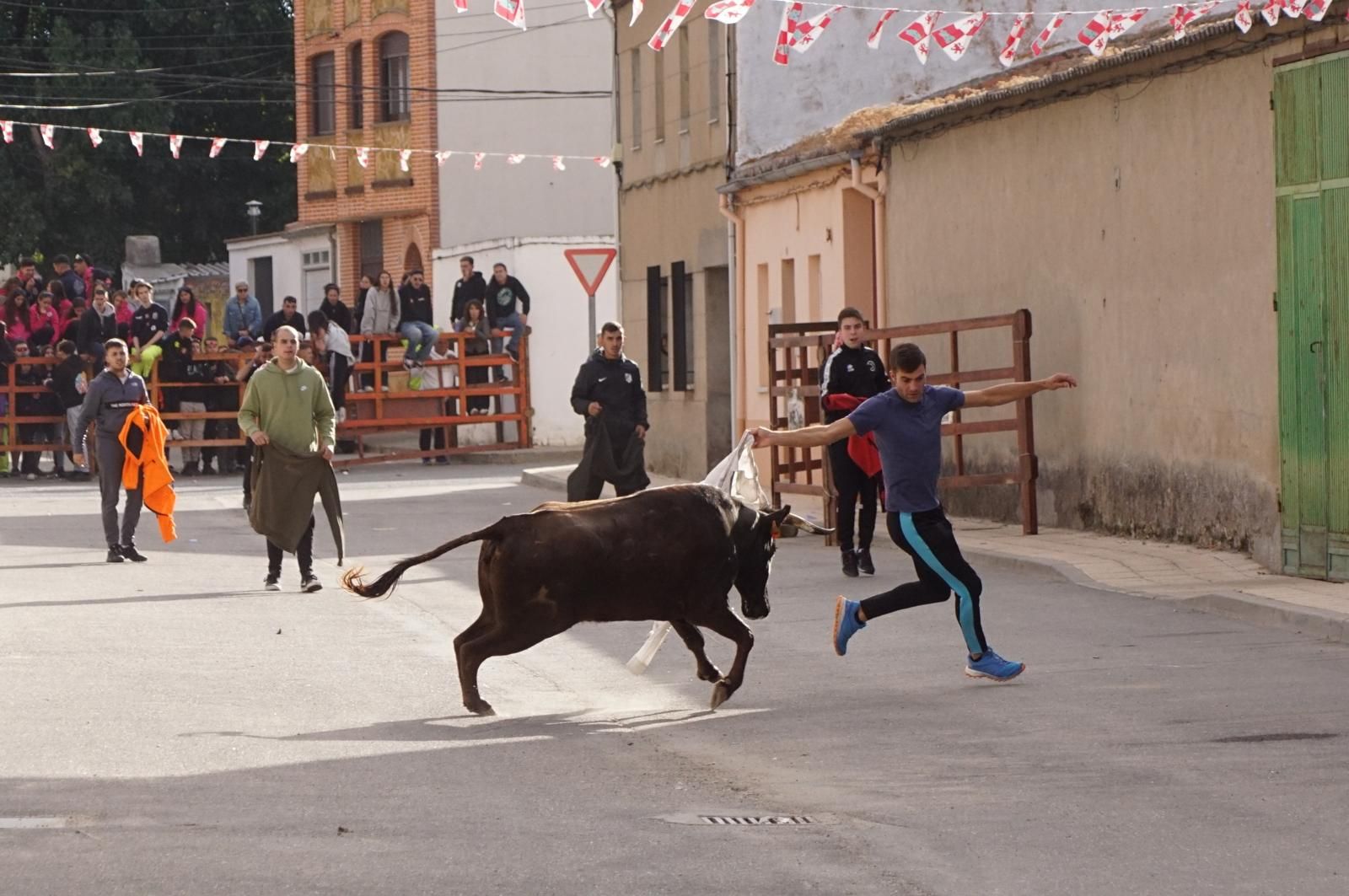 whatsapp-image-2024-09-08-at-14-04-57-2