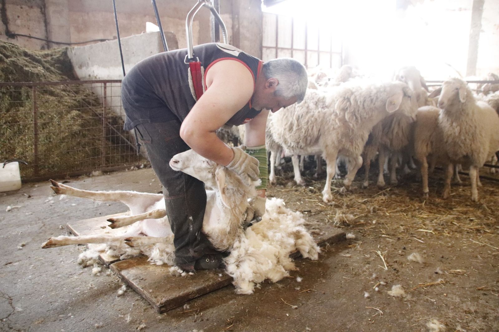 20220520103055-mg-8474