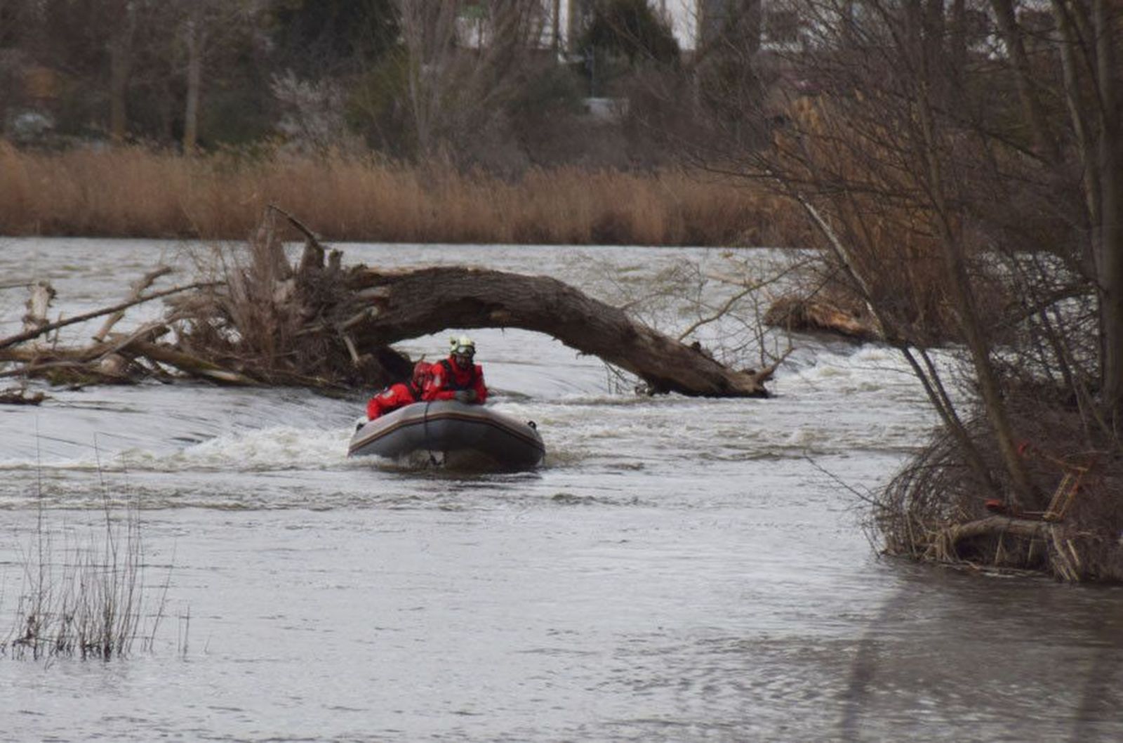 Los bomberos buscan a una persona en el río Duero. Archivo