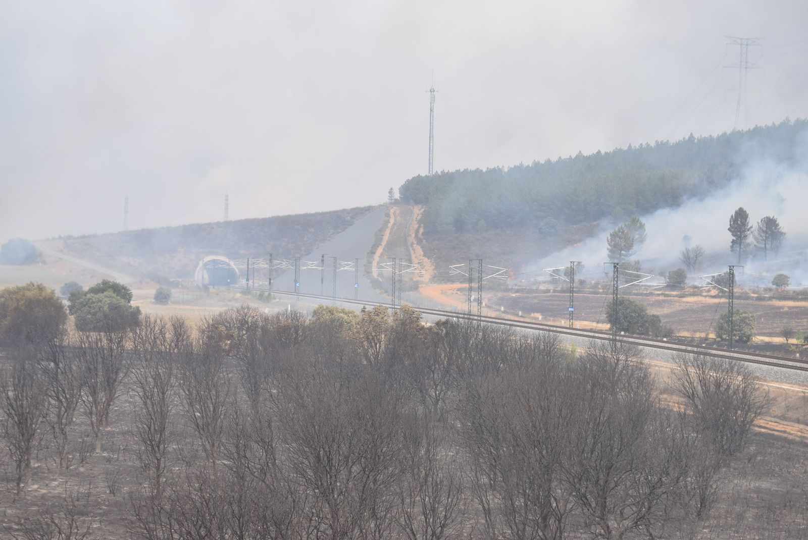 Las llamas avanzan imparables en el incendio de Losacio Foto David Barrueco  (14)